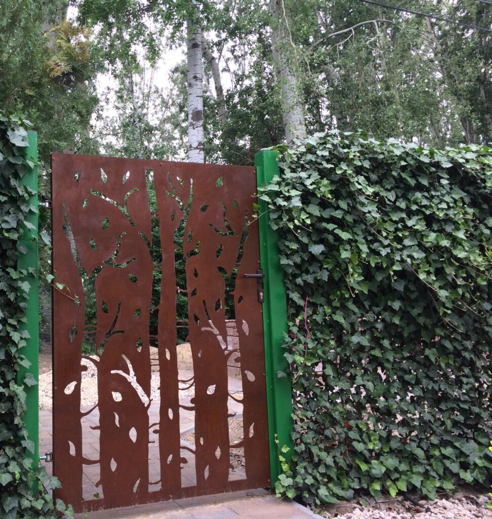 IMG_7049 (1) IMG_7049 (1)